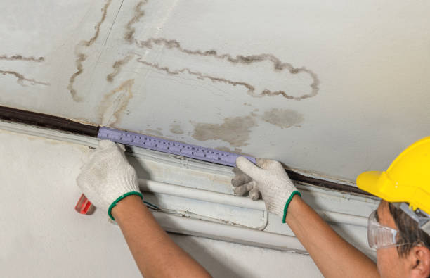 Reliable Water Damage contractor in Clearfield, UT by Water Damage Irwin